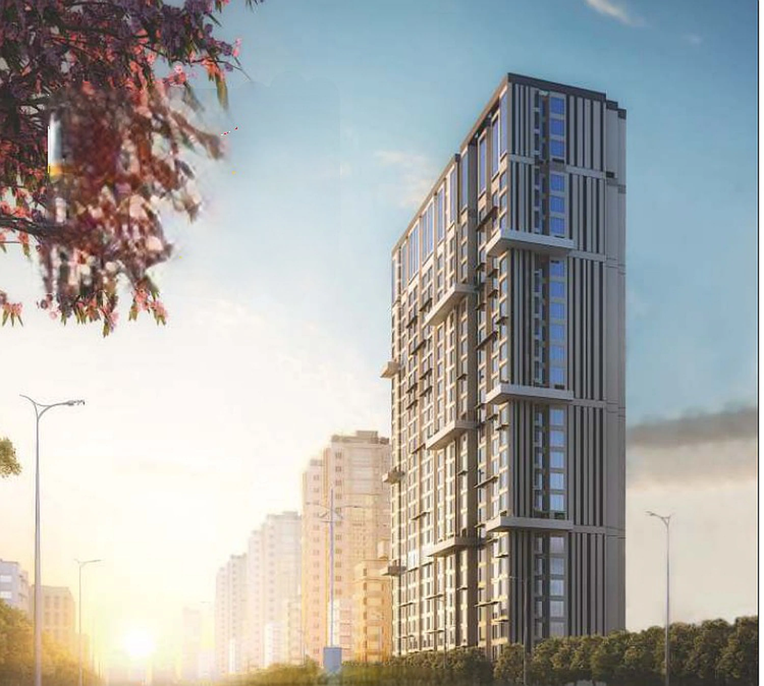 CENTRONA NOVA B