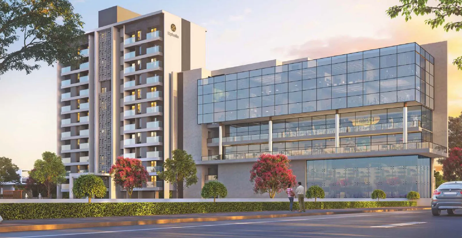 Ephelia Phase 1