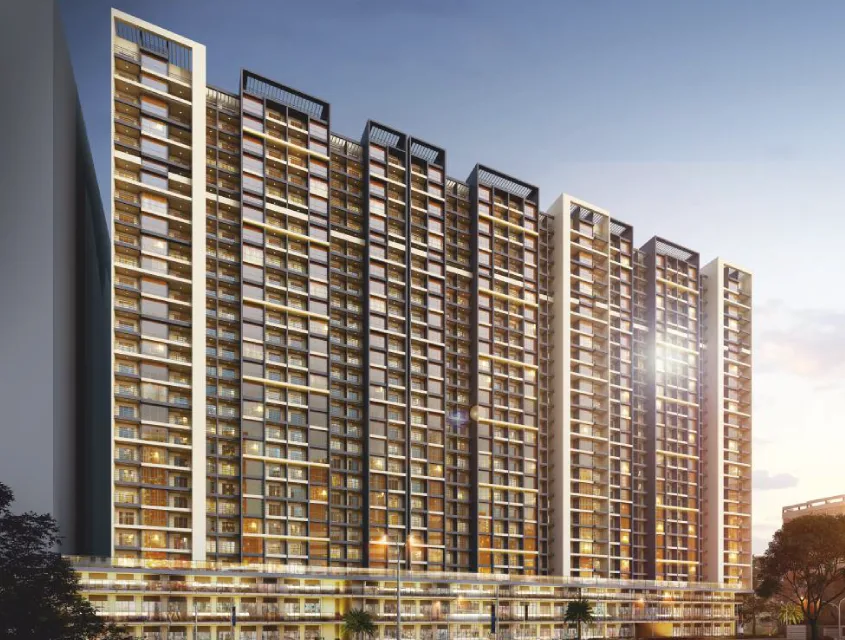 The Collection W5 and W6