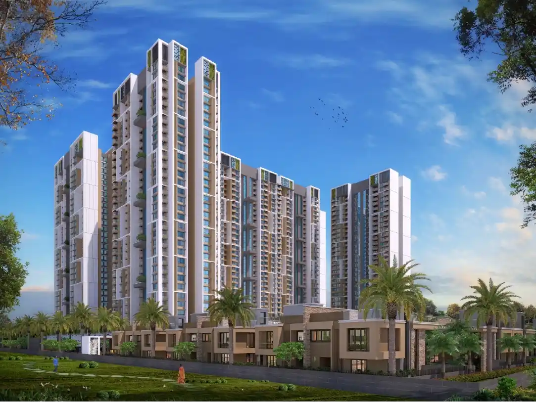 Vtp Euphoria Phase 3